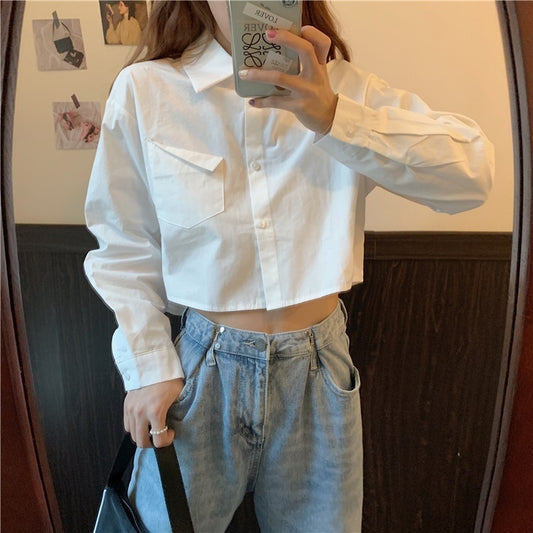 Crop Top Long Sleeve Shirt